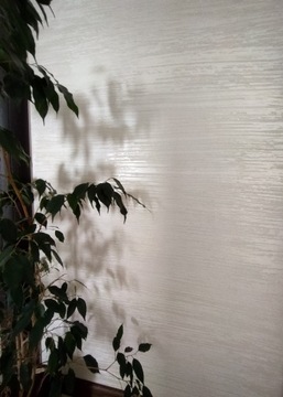 Структурная штукатурка MIRAL, комплект 15 м2, цвет ЖЕМЧУЖНЫЙ «ЭФФЕКТ МЕТАЛЛИК»