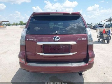 Lexus GX 2022 Lexus GX 460 Luxury, 2022r., 4x4, 4.6L 4.6 Benzyna 301KM, zdjęcie 7