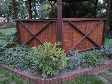 MATA WIKLINOWA 100x150cm WIKLINA POLSKI PRODUCENT GĘSTA OSŁONA NA BALKON