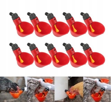 СУШИЛКА 10x ДЛЯ ПОИЛКИ ДЛЯ ПТИЦЫ И КУРИЦ
