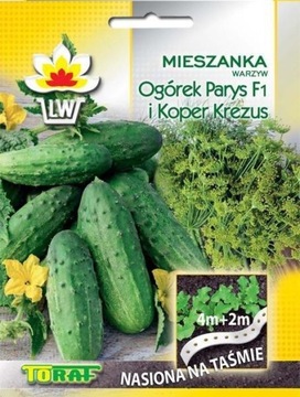Nasiona na taśmie Ogórek Parys + Koper