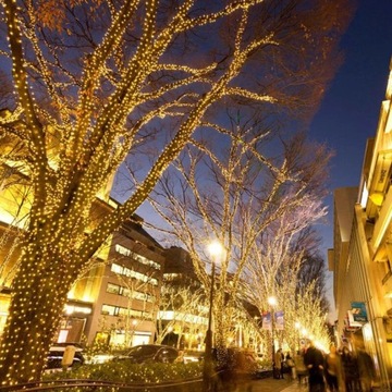 ГИРЛАНД СОЛНЕЧНЫЕ САДОВЫЕ ЛАМПЫ 300 LED