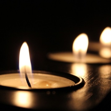 Świeca tealight parafinowa Eucalyptus Admit 6 szt.