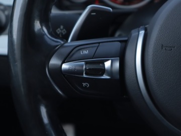 BMW Seria 5 F10-F11 Limuzyna Facelifting 525d 218KM 2014 BMW 5 525d xDrive, Salon Polska, Serwis ASO, zdjęcie 13