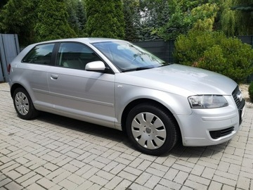 Audi A3 8P Hatchback 3d 1.9 TDI 105KM 2007 Audi A3 1.9 TDI 105KM Klima Elektryka Po wymianie, zdjęcie 3
