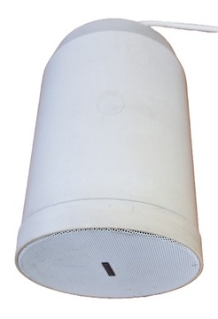 Głośnik wiszący Euroshine CSL-308 100V 10W