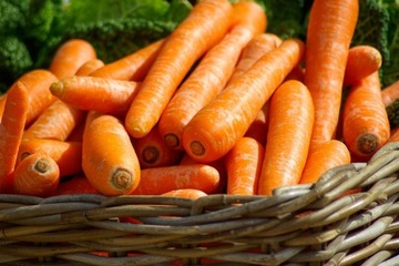 Семена овощей на ленте Морковь Среднеранний срок посева До июня Сочные
