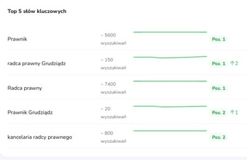 Pozycjonowanie wizytówki Google - pakiet rozszerzony SEO