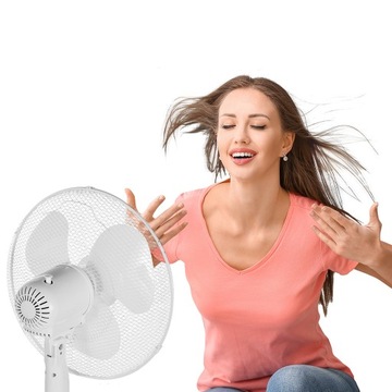 НАПОЛЬНЫЙ ВЕНТИЛЯТОР, ТИХИЙ, МОЩНЫЙ