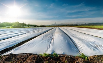 AGROWŁÓKNINA BIAŁA OKRYCIOWA 1,6x10m ZIMOWA WŁÓKNINA do OCHRONY ROŚLIN 50g