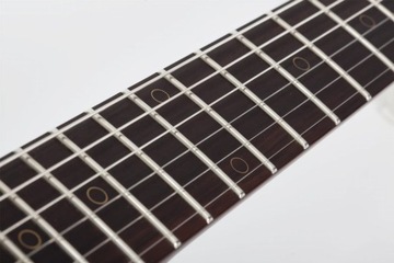 Schecter NICK JOHNSTON DS Традиционный атомно-зеленый