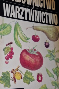 Sadownictwo i warzywnictwo Kawecki , Kryńska stan BDB