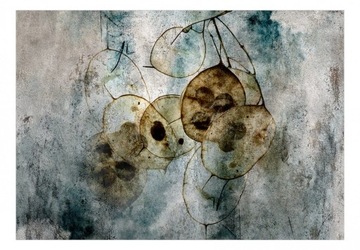 Fototapeta - Naturia i lunaria - 250X175