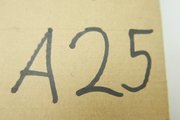 ZARÓWKA PRZECIWMGŁOWA Agila H11 93193893 Oryginał