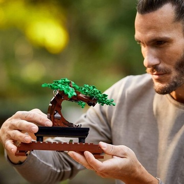 ДЕРЕВЬЕВЫЕ РАСТЕНИЯ LEGO BONSAI ИЗ БЛОКОВ ICONS 2в1