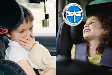 Автомобильный диффузор HEALTHY DRAGONFLY для масел