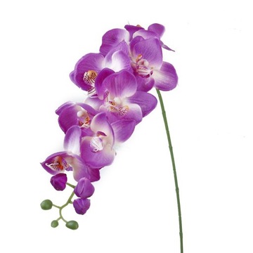 SZTUCZNE ŁODYGI STORCZYKA PHALAENOPSIS