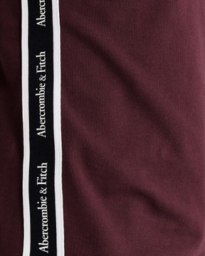 ABERCROMBIE FITCH Hollister Koszulka Polo Logo M