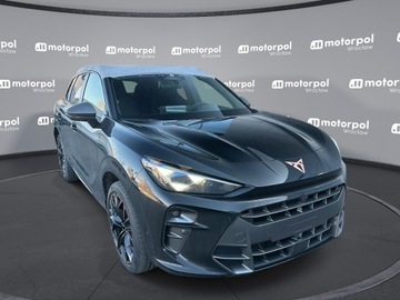 Cupra Terramar 2025 Cupra Terramar 2.0 TSI 204 KM DSG 4Drive, zdjęcie 11