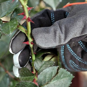 2 пары длинных оксфордских садовых перчаток.