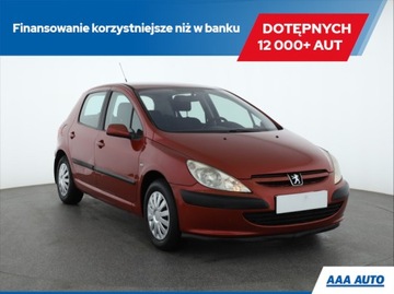 Peugeot 307 I Hatchback 1.6 16V 109KM 2004 Peugeot 307 1.6 16V, Salon Polska, 1. Właściciel