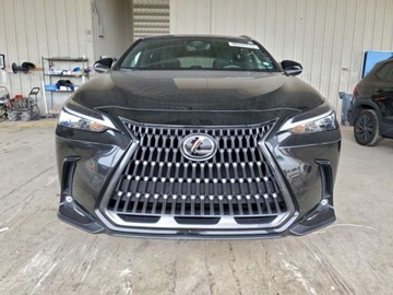 Lexus NX II 2024 Lexus NX 250 Base 2024 2.5 Benzyna 203KM, zdjęcie 5