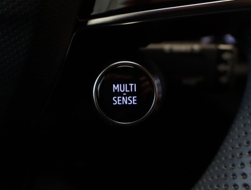 Renault Austral 2024 Renault Austral 1.3 T MHEV, Salon Polska, zdjęcie 20