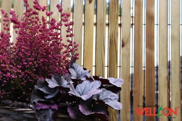 Обшивка панелей 160х250 деревянными планками