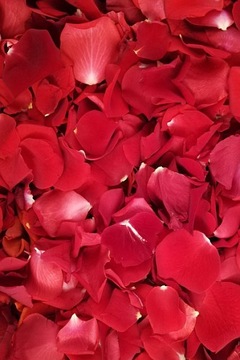 Płatki róż ŻYWE czerwone