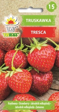 TRUSKAWKA TRESCA TORAF