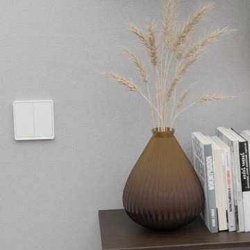 Умный переключатель Tesla Switch Dual ZigBee