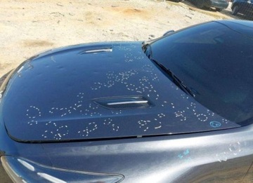 Kia Stinger 2022 Kia Stinger 2022, 3.3L, GT1, po gradobiciu 3.3 Benzyna 368KM, zdjęcie 8