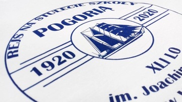 белая футболка с принтом 100 шт.