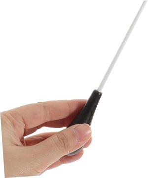 2 prowadzenie zespołu dyrygowanie orkiestrą dyrygenta do dyrygowania