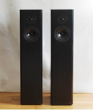 KS Audio Hand Made, linia transmisyjna, dobre kolumny podłogowe.