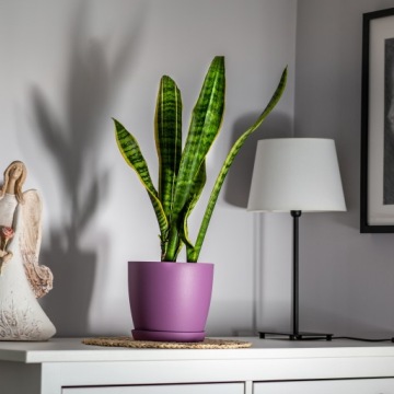 КРЫШКА ДЛЯ ЦВЕТОЧНОГО ВАЗОНА, 14см ЦВЕТОЧНЫЙ ГОРШОК С ПОДСТАВКОЙ, ФИОЛЕТОВЫЙ, ДЛЯ ГОСТИНОЙ