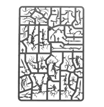 Древесные призраки Сильванет, Warhammer Age of Sigmar