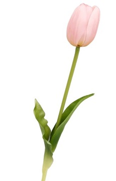TULIPAN SILIKONOWE TULIPANY jak żywe RÓŻOWE 40 cm