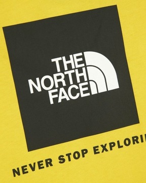 T-shirt męski koszulka THE NORTH FACE z logo - XL