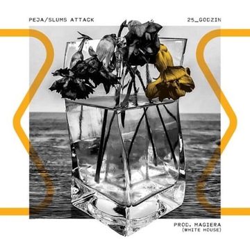 Peja/Slums Attack/ prod. Magiera 25_godzin