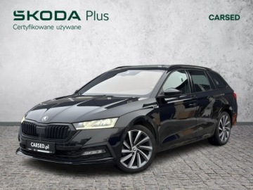 Skoda Octavia IV Liftback 1.5 TSI EVO 150KM 2023 Skoda Octavia IV 1.5 TSI / 150 KM Sportline DSG Sa