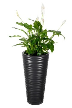 DONICA Z WKŁADEM DONICZKA SAHARA SLIM 30 wys.56cm śr.30cm ANTRACYT