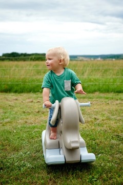 Подвижные уши BIG Rocker Swing Elephant