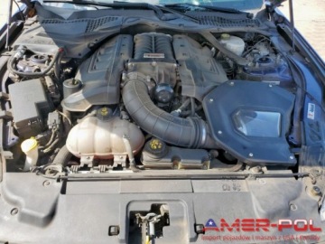 Ford Mustang VI 2019 Ford Mustang _GT_ ROUSH _SUPERCHARGER_V8_5.0 L_750 km_2019r 5.0 Benzyna, zdjęcie 10