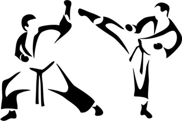 Naklejka na auto KARATE 12 cm w. 87