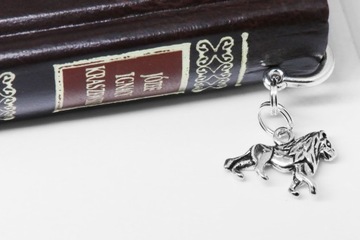 ZAKŁADKA DO KSIĄŻKI lew kot DŻUNGLA