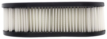 ВОЗДУШНЫЙ ФИЛЬТР BRIGGS 475isi 550e 575EX 625E 650E 675E 725 798452 593260