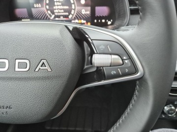 Skoda 2025 Skoda Kamiq Edition 130 1.0 TSI Auto z placu, zdjęcie 32