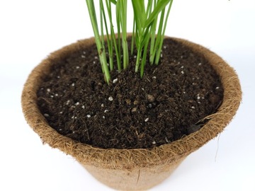 Субстрат для комнатных растений GREEN PALM PLANTS BIGOS 5L