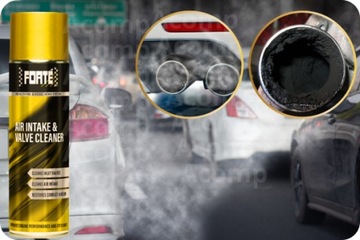 FORTE Очиститель воздухозаборного клапана Очистка колец, клапанов, впуска СЕРВИС